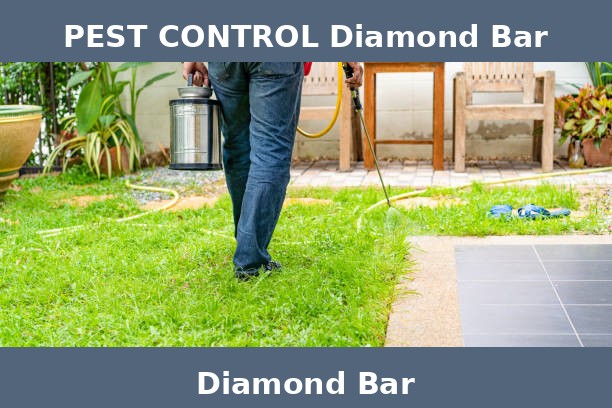 PEST CONTROL Diamond Bar